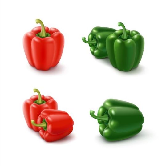 Red with green pepper vector 01  