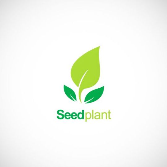 Zaad plant groen biologisch logo vector  