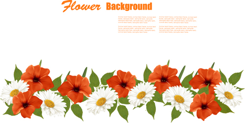 Summer white and orange flowers background vector 01  