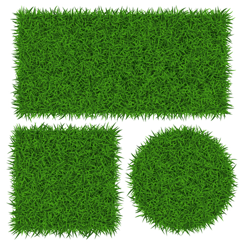 Vector banner green grass design  