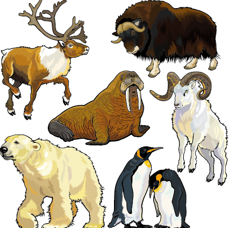 Vector set of wild animals design graphic 07  