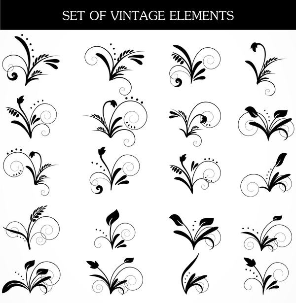 Vintage elements ornaments vector set  