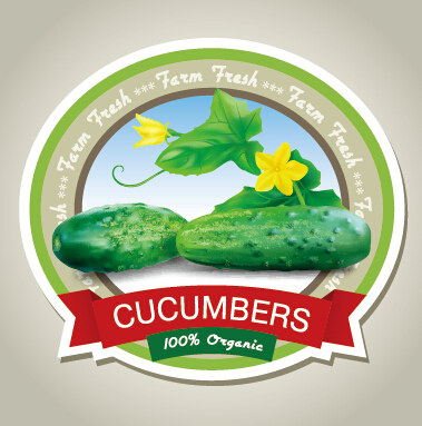 Fresh cucumbers creative labels vector  