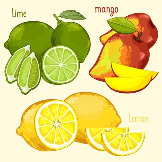 Fruit with name design vector 03  
