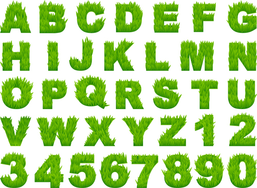 Grass alphabet letters with numbers vector  