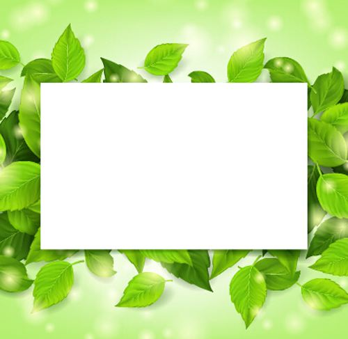 Green leaves frame vectors set 02  