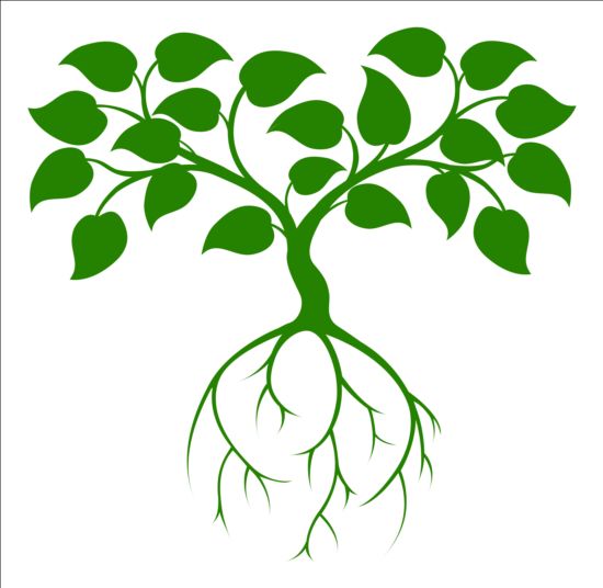 Disegno vettoriale del logo dell'albero verde  