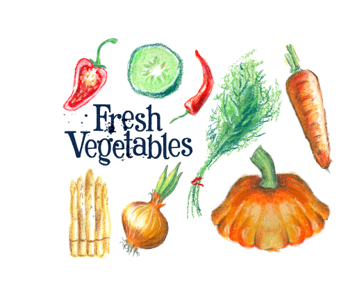 Hand drawn fresh vegetables colored vector 02  