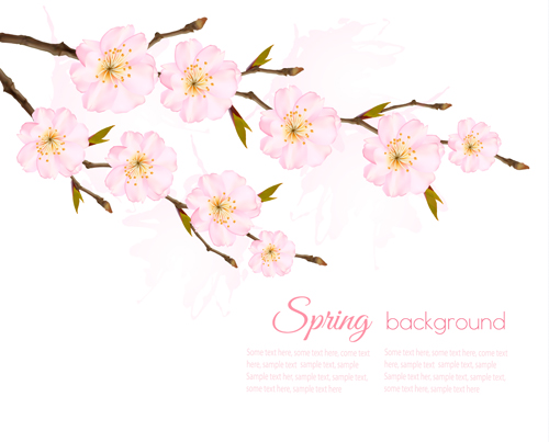 Spring background with pink sakura vector  