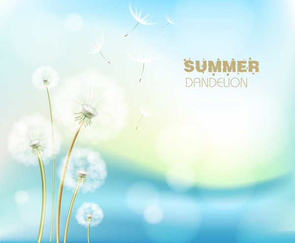 Summer dandelion background vector  