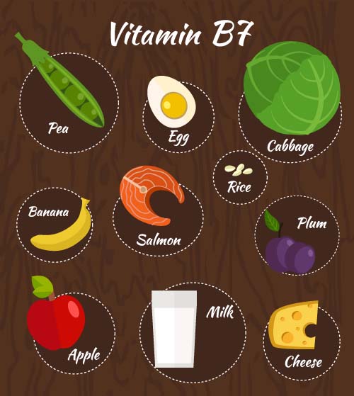 Vitamin with healthy diet vector material 07  