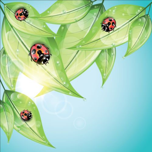 ladybug and leaves vector background 03  