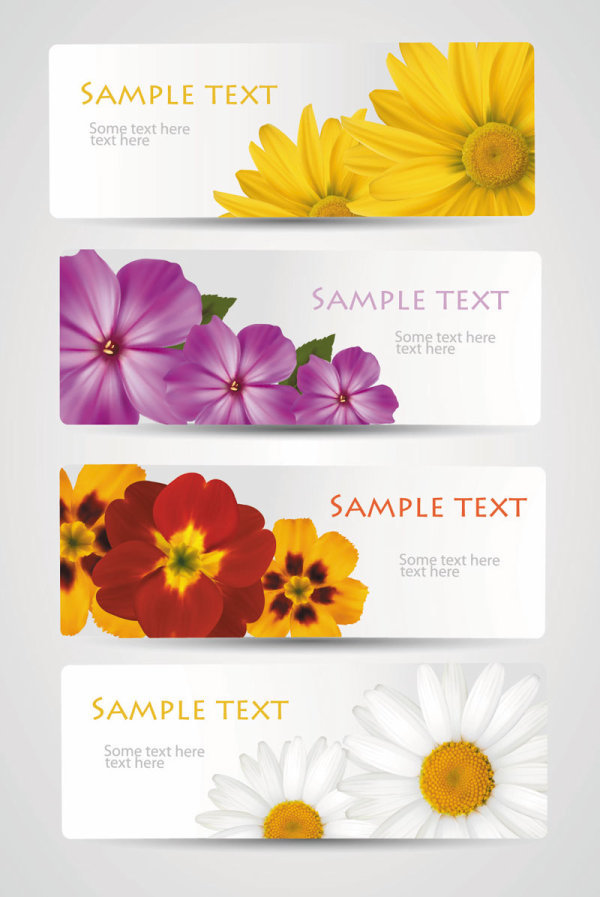 with Flowers cards vector template 02  