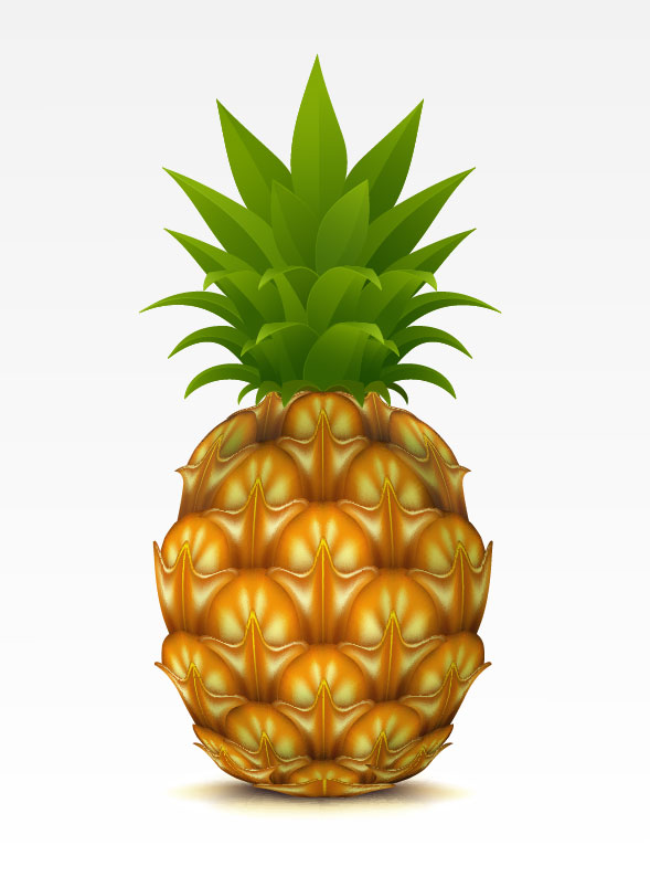 Pineapple design elements vector graphic 01  