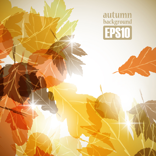 Autumn theme backgrounds art vector 04  
