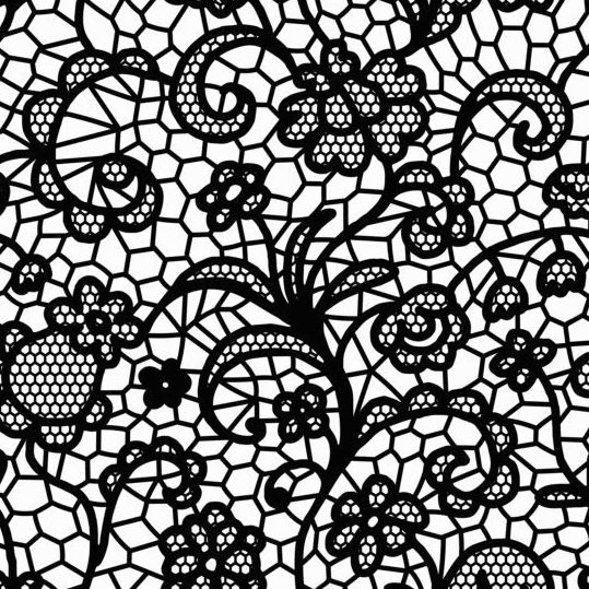 Beautiful lace black pattern vector 08  