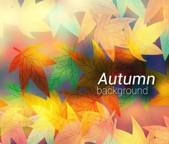 Colored autumn leaves with blurred background vector 03  
