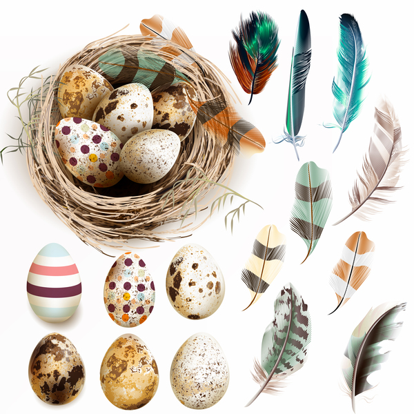 Easter background with bird nest eggs and feathers vector 01  