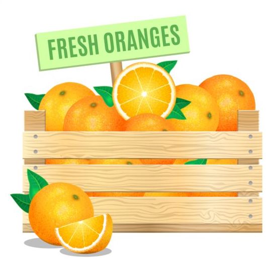 Fresh orange poster vector  
