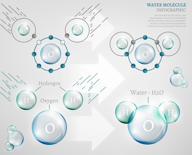 Water molecule infographics creative vectors set 09  