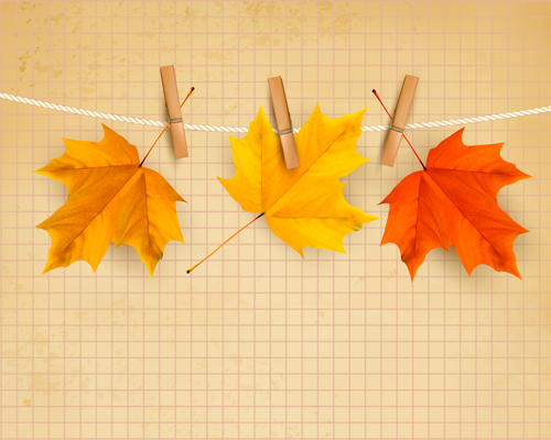 Beautiful Autumn leaves background vector 02  