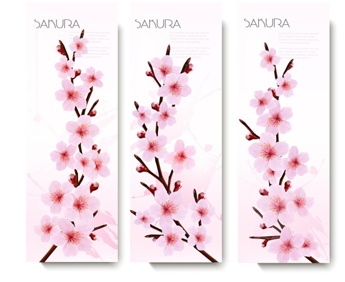 Beautiful pink flowers vector banner 01  