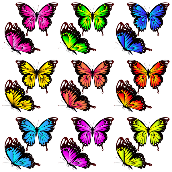 Butterfies colorés vector illustration set 02  