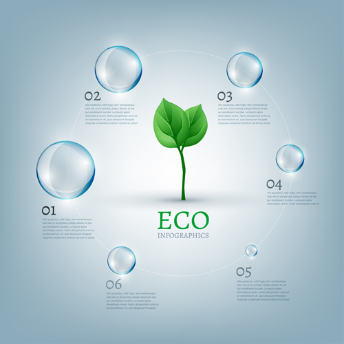 Eco infographics elements vectors graphics 14  