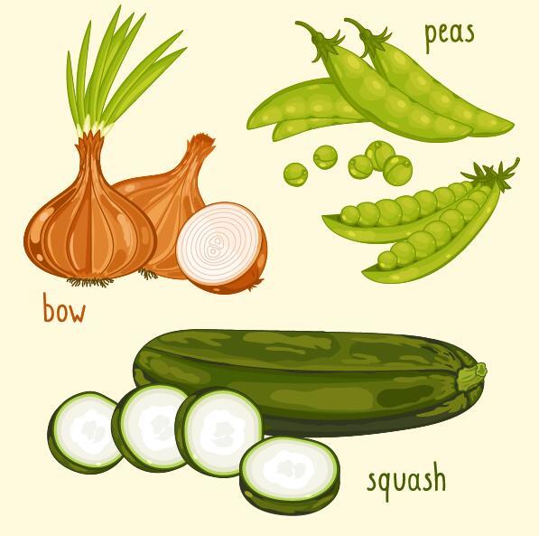 Légumes frais avec illustration vectorielle de nom 07  