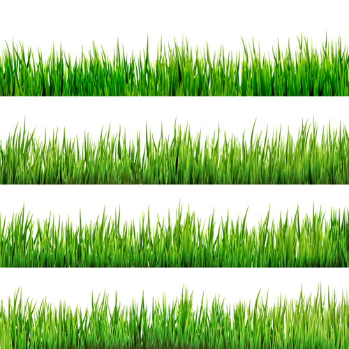 Realistic grass borders design vector 02  