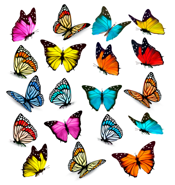 Set of colorful butterflies vector material 02  