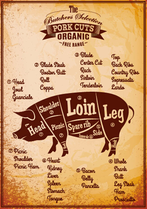 Vintage pork cuts labels vector material  