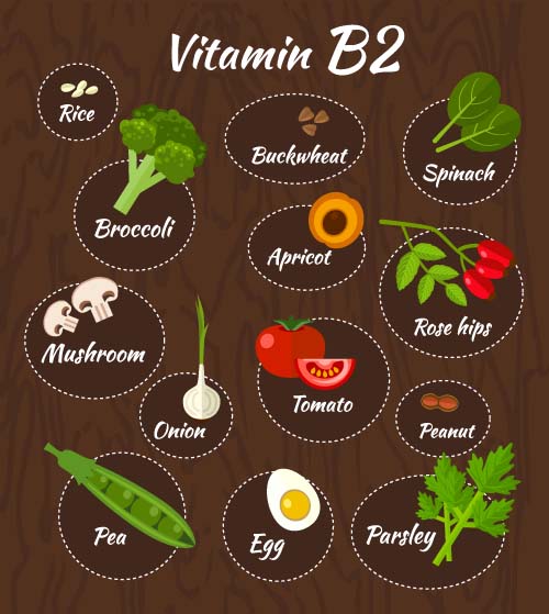 Vitamin with healthy diet vector material 05  