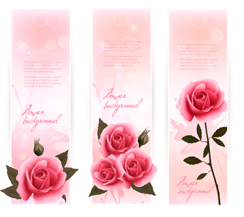 Beautiful rose vertical banner vector  