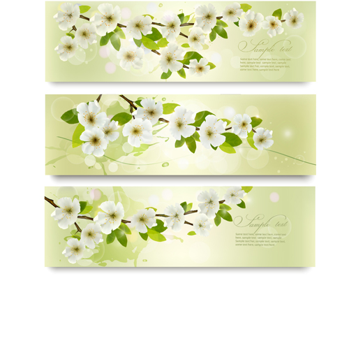 Beautiful white flowers vector banner 01  