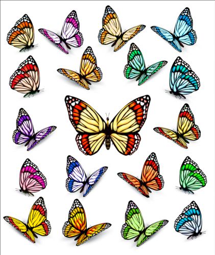 Colorful butterflies illustration vector collection 03  