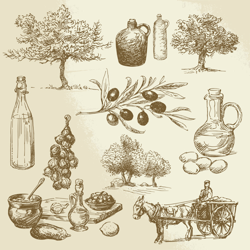 Drawing foods retro illustrations vector 11  