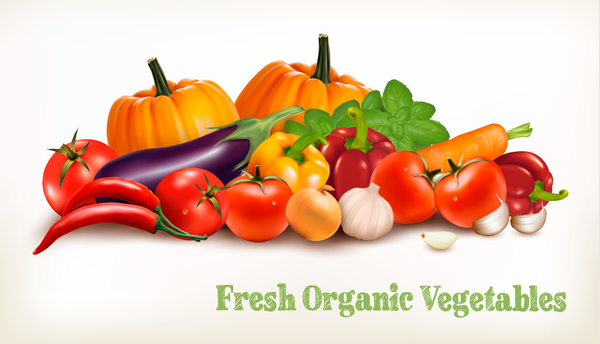 Fresh grganic vegerables vector material 02  