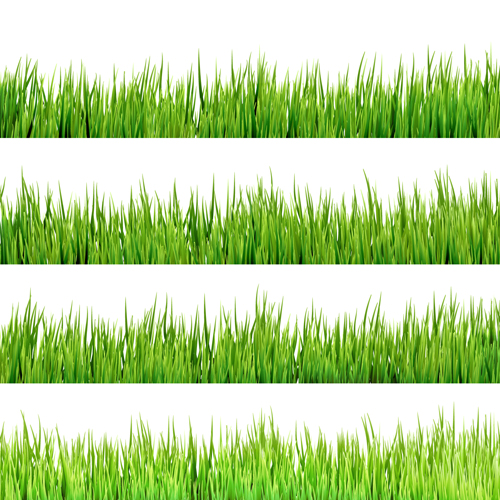 Realistic grass borders design vector 01  