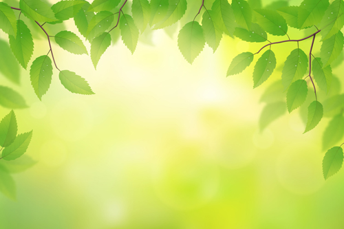 Spring sunlight with green leaves vector background 05  