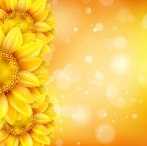 Sunflower flower with bokeh vector background 04  