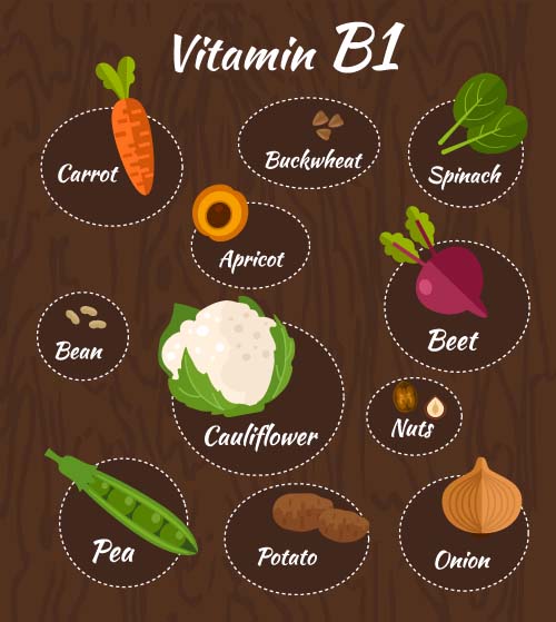 Vitamin with healthy diet vector material 04  