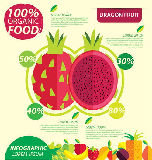 Flat fruits infographic vectors template 06  