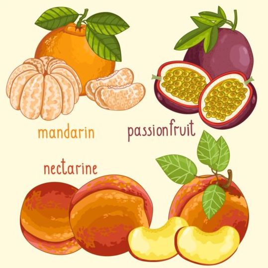Fruit with name design vector 01  