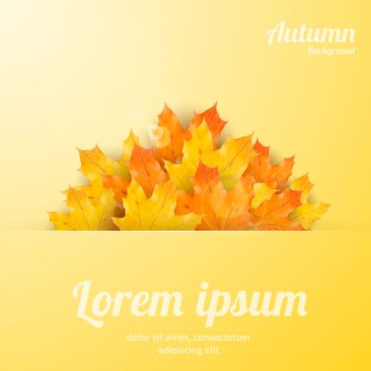 Maple bladeren met de herfst achtergrond vector 04  