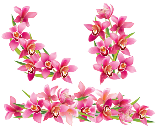 Pink orchids design vector 02  