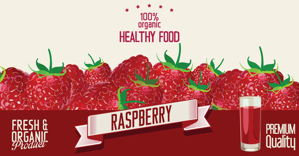 Raspberry retro poster template vectors  