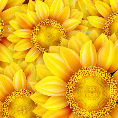Realistic sunflowers vector seamless pattern 01  