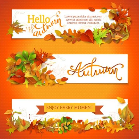 Verkoop banner met mooie herfstbladeren vector 02  