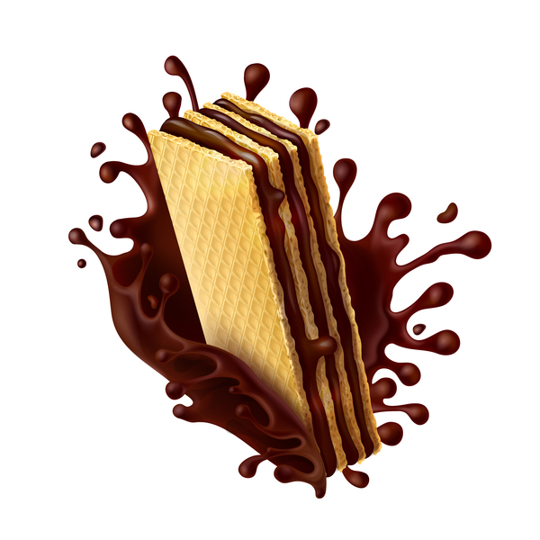 chocolate wafer biscuits vector  